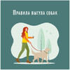 Соблюдение норм выгула собак: обязательное для всех!